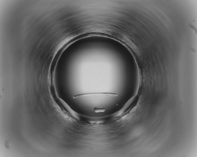X0000095131028200712071303