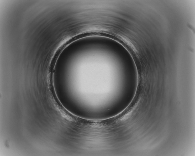 X0000095131029200712071303