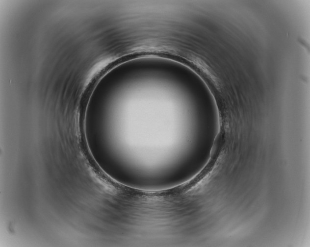 X0000095131030200712071303