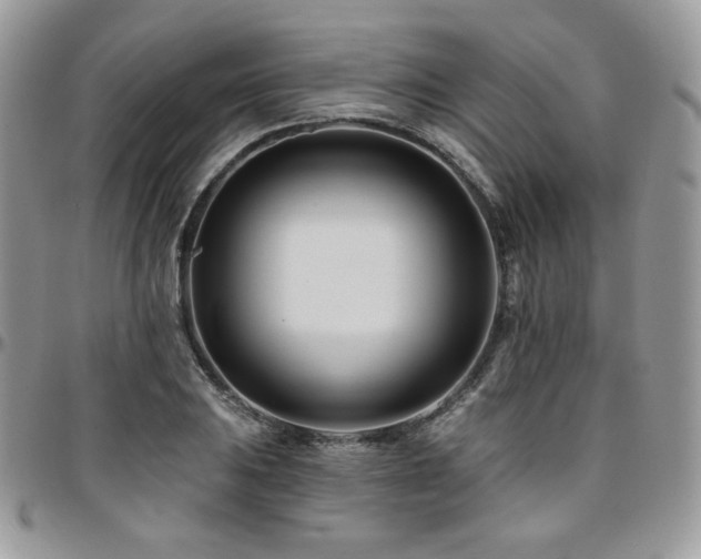 X0000095131031200712071303