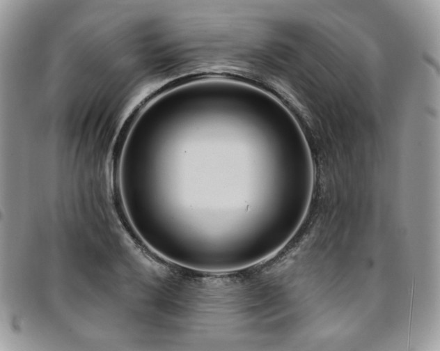 X0000095131032200712071303