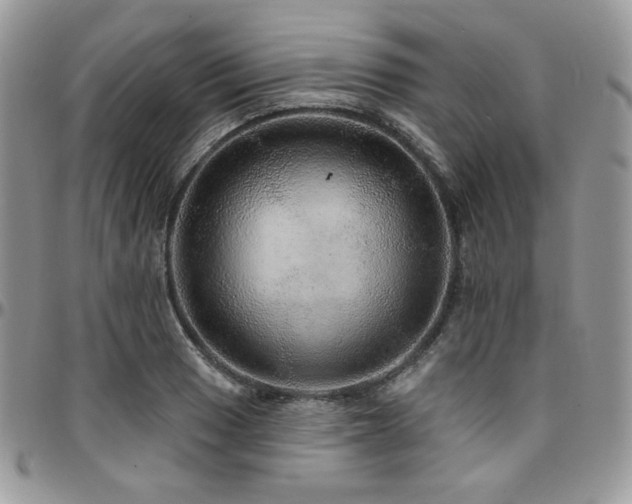 X0000095131033200712071303