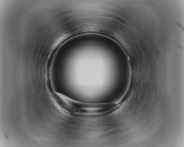 X0000095131034200712071303