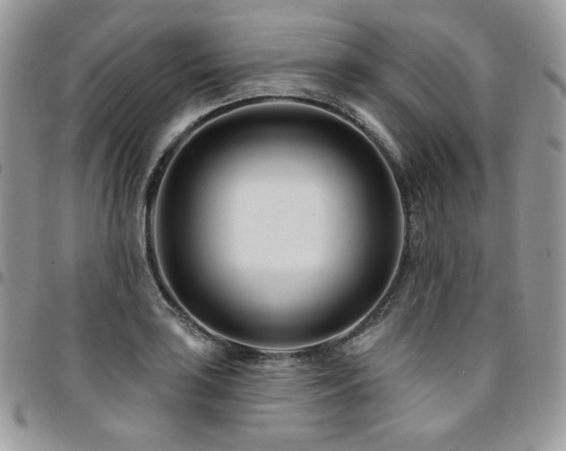 X0000095131035200712071303