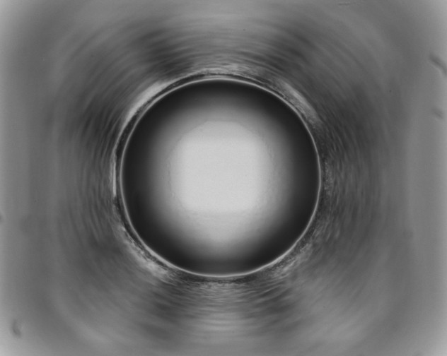 X0000095131036200712071303