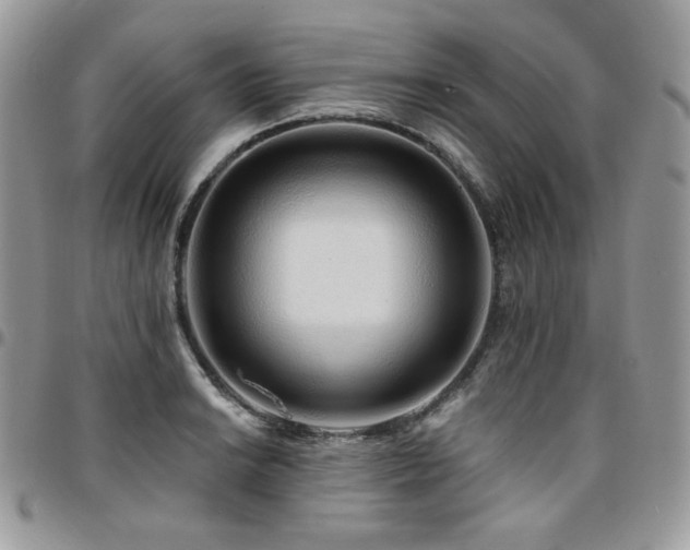 X0000095131038200712071303