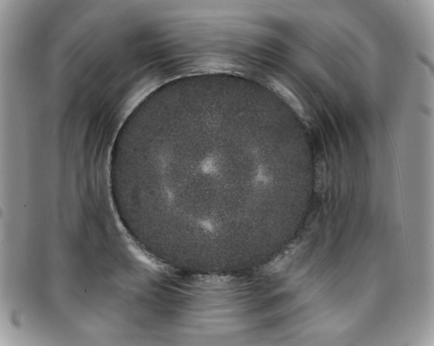 X0000095131039200712071303