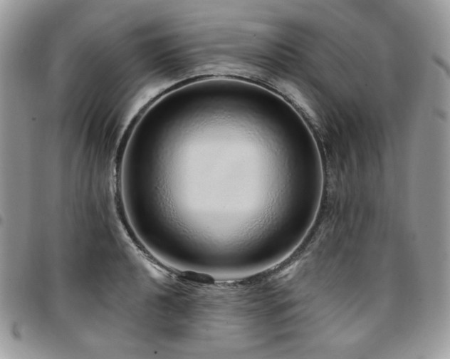 X0000095131040200712071303