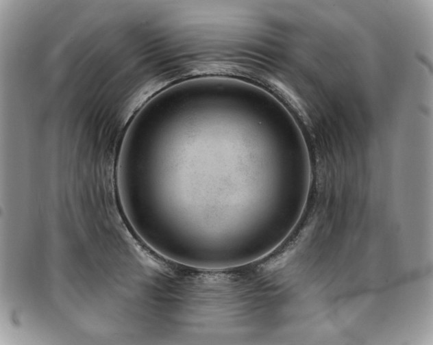 X0000095131041200712071303