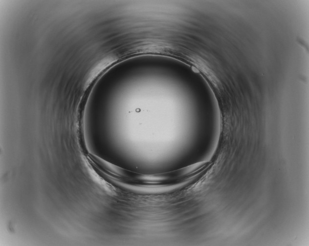 X0000095131042200712071303
