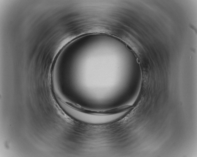 X0000095131044200712071303