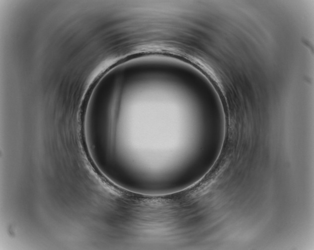 X0000095131045200712071303