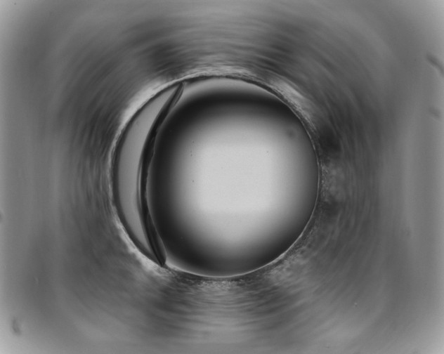X0000095131046200712071303