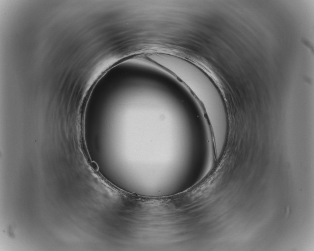 X0000095131048200712071303