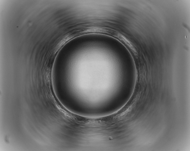 X0000095131049200712071303