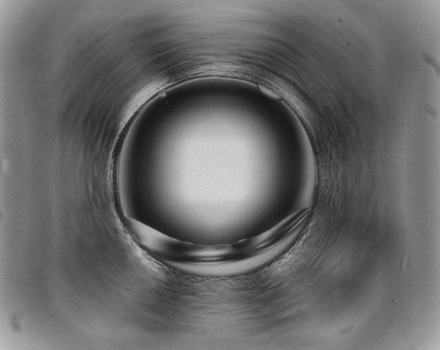 X0000095131050200712071303