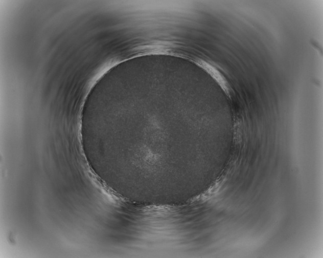 X0000095131051200712071303