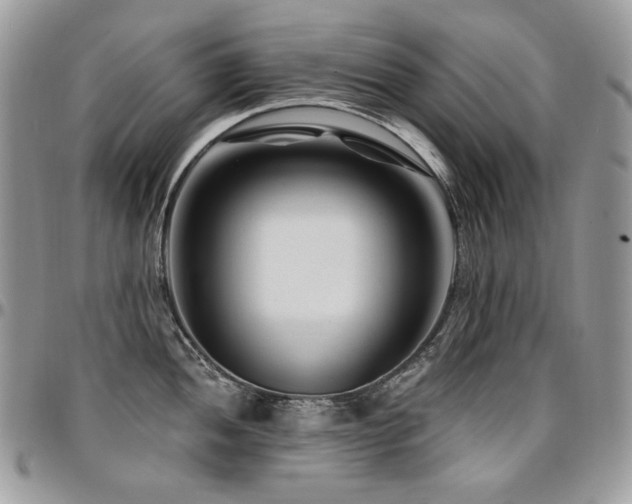 X0000095131052200712071303