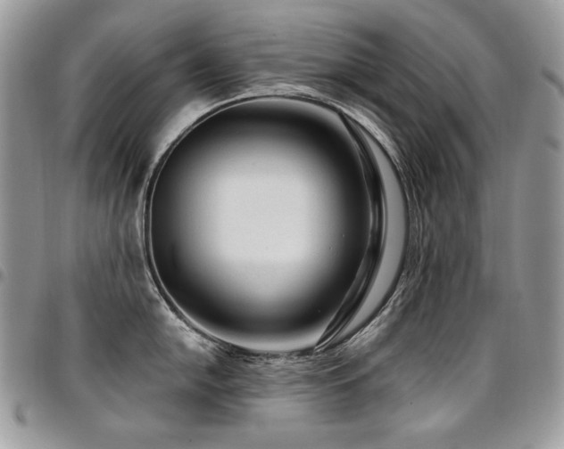 X0000095131054200712071303