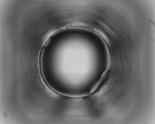 X0000095131055200712071303