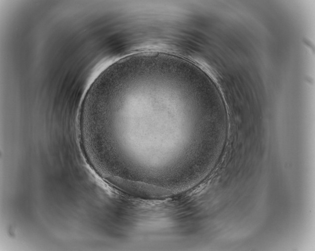 X0000095131056200712071303