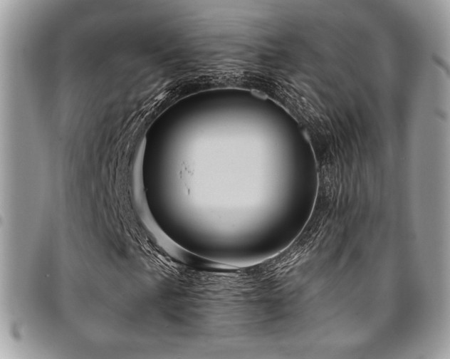 X0000095131057200712071303