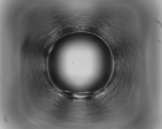 X0000095131058200712071303