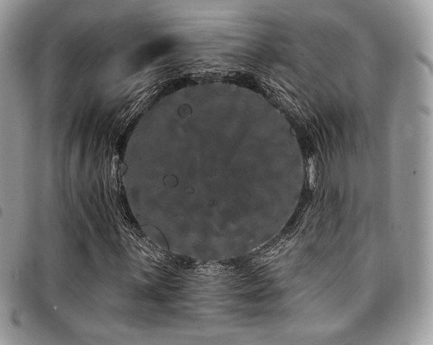 X0000095131059200712071303