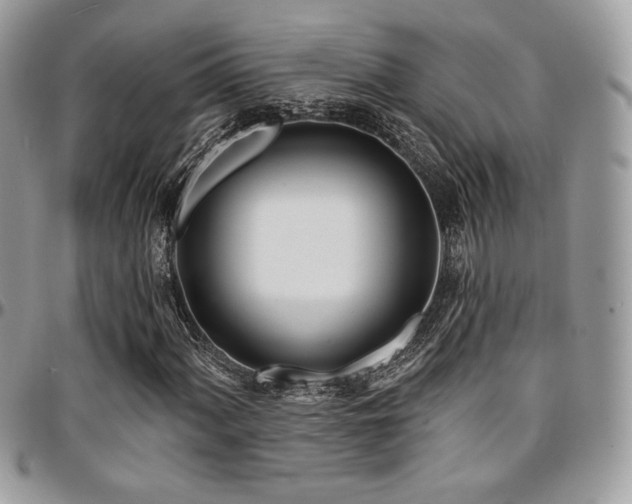 X0000095131060200712071303