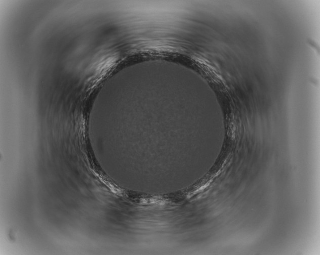X0000095131061200712071303