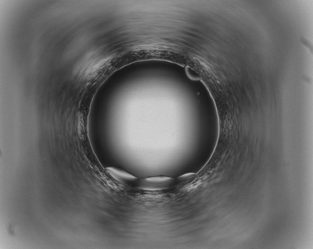 X0000095131062200712071303