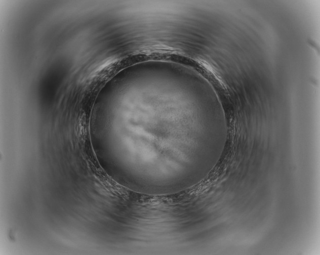 X0000095131063200712071302