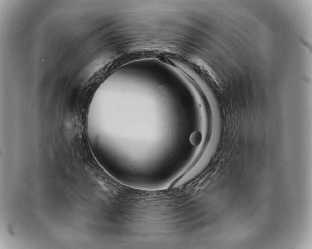 X0000095131064200712071302
