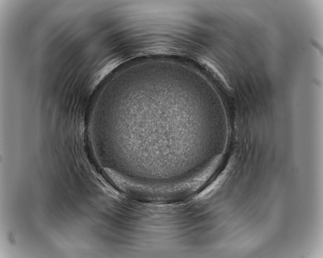 X0000095131065200712071302