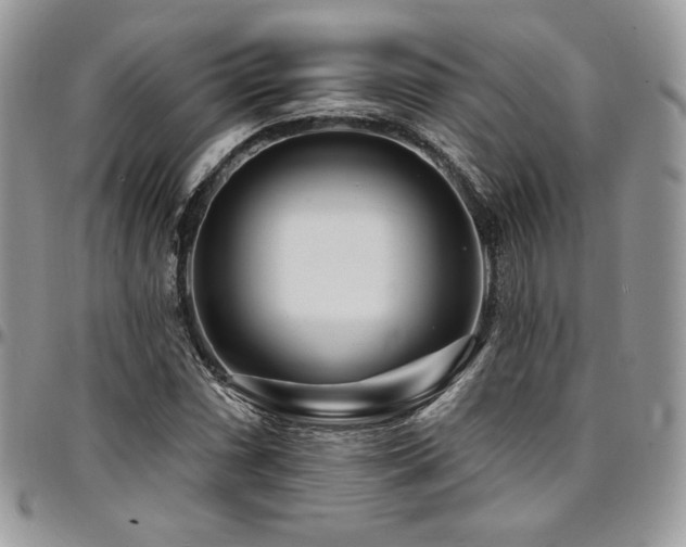 X0000095131066200712071302