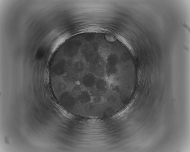 X0000095131067200712071302