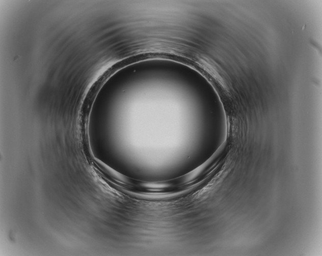 X0000095131068200712071302