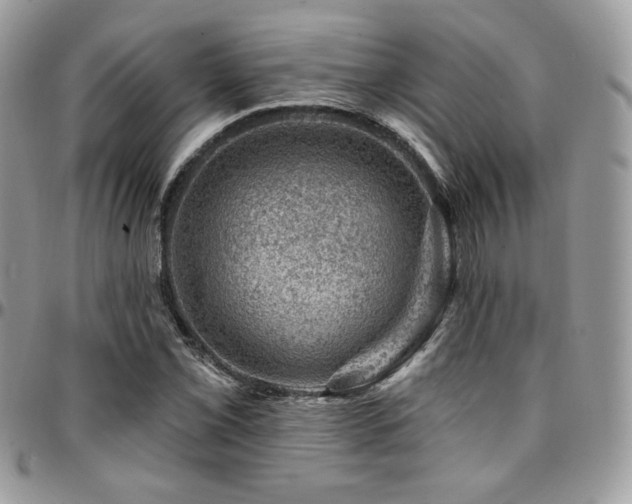 X0000095131069200712071302