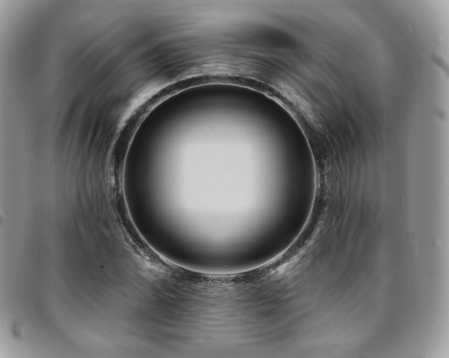 X0000095131070200712071302