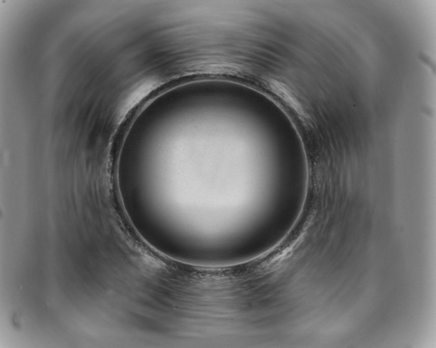 X0000095131071200712071302