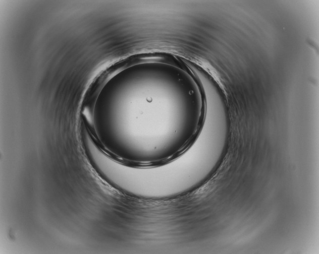 X0000095131072200712071302