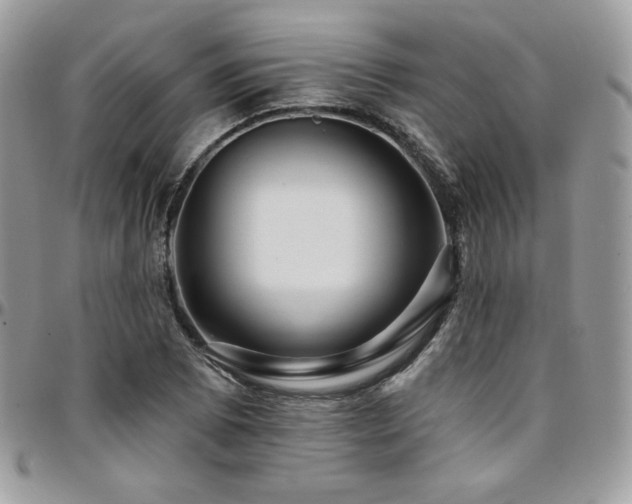 X0000095131073200712071302