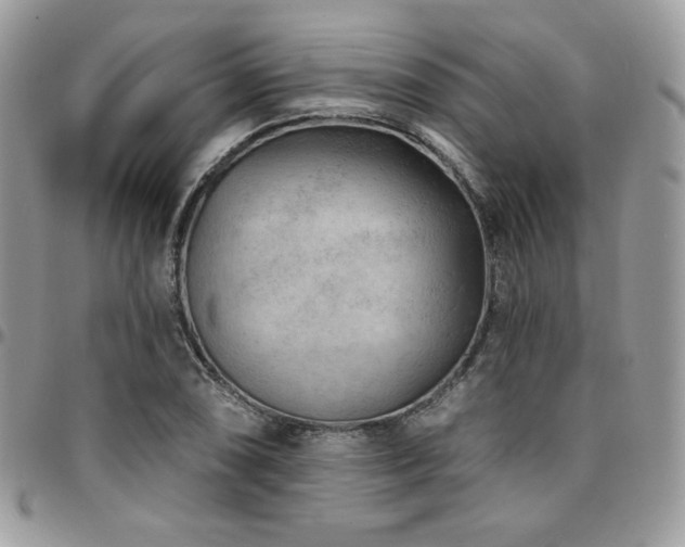 X0000095131074200712071302
