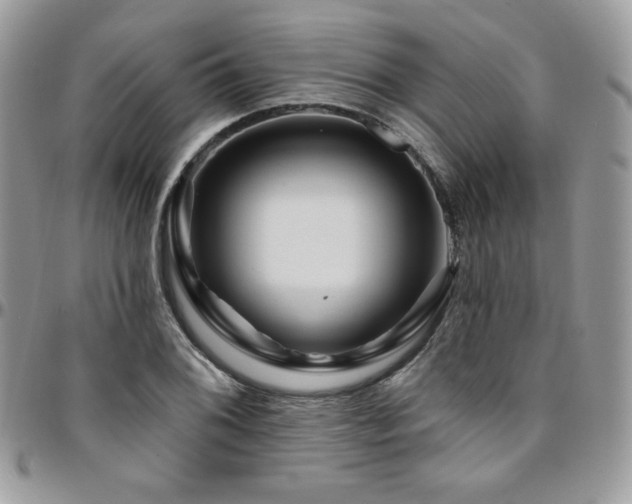 X0000095131076200712071302