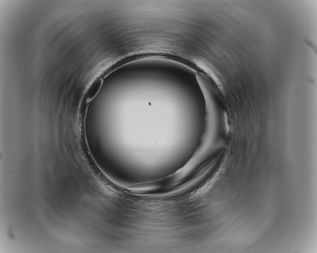 X0000095131077200712071302
