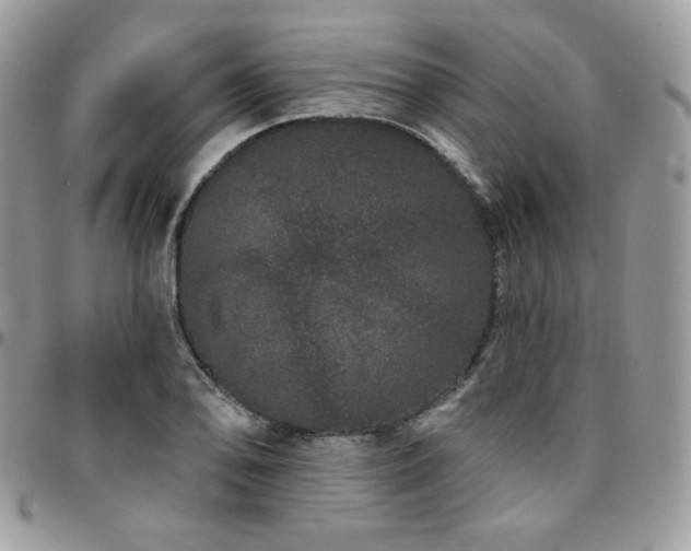 X0000095131078200712071302