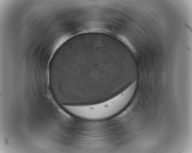 X0000095131079200712071302