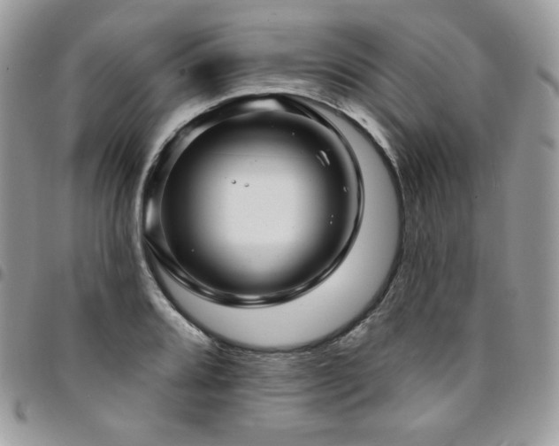 X0000095131080200712071302