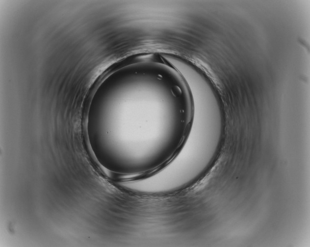 X0000095131081200712071302