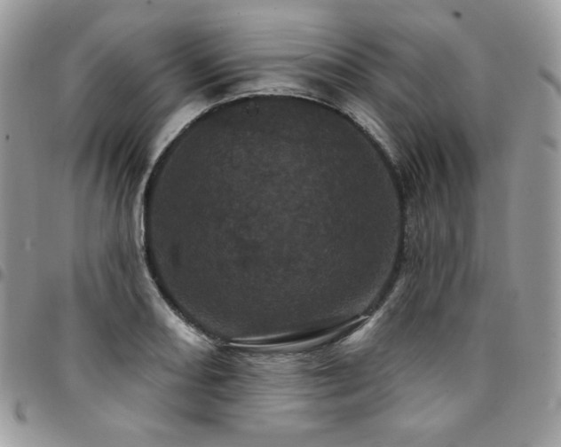 X0000095131082200712071302